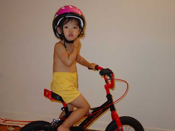 bicycle_sh2.jpg